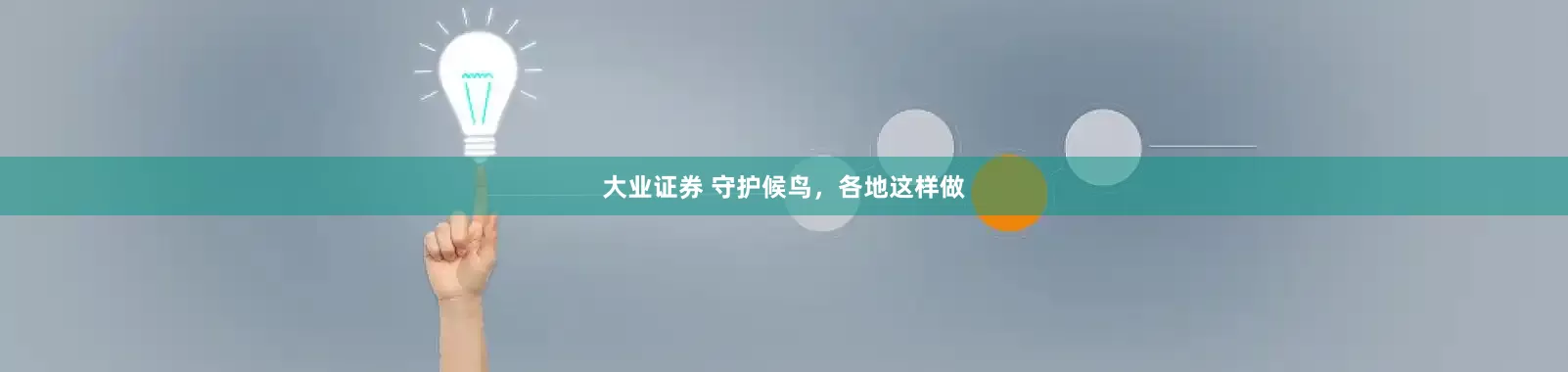 大业证券 守护候鸟，各地这样做