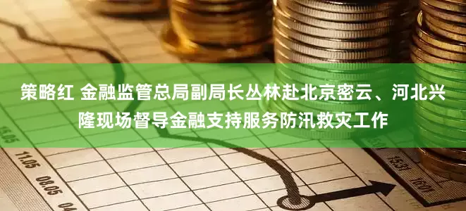 策略红 金融监管总局副局长丛林赴北京密云、河北兴隆现场督导金融支持服务防汛救灾工作